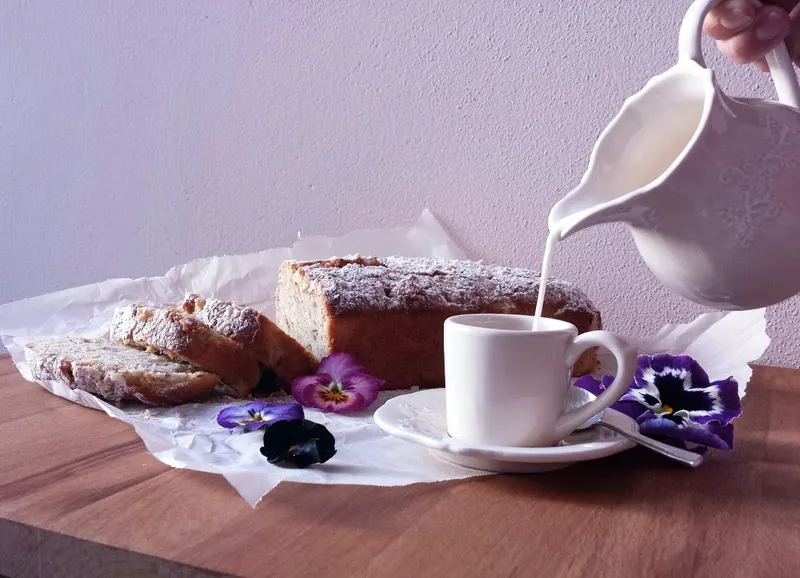 Una fetta di cake al rabarbaro spolverata di zucchero a velo